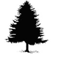 tree_icons_pine